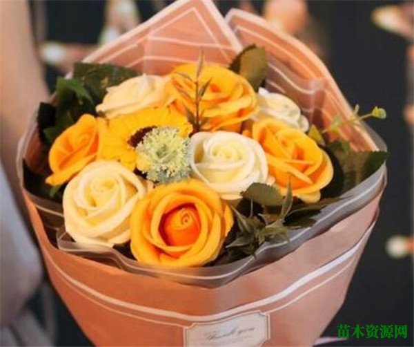教师节一般送什么花 送花的忌讳有哪些
