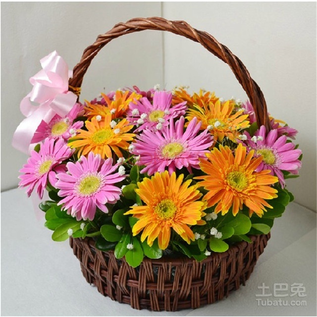 婚礼之花，扶郎的花语