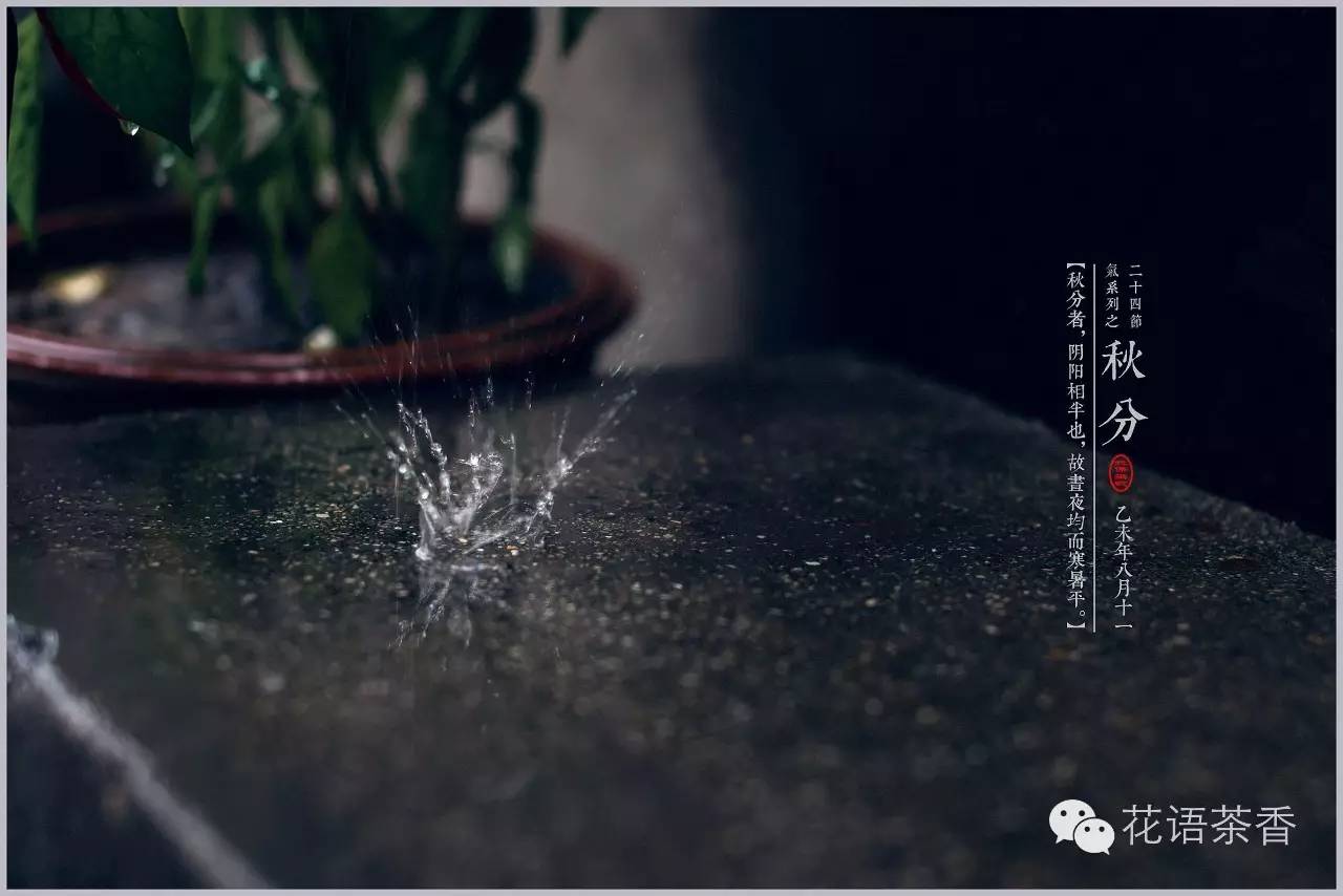 花语茶香 | 一场秋雨一场寒