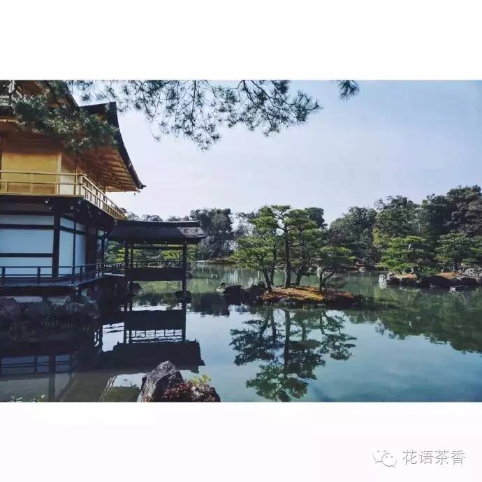 花语茶香 | 一场秋雨一场寒