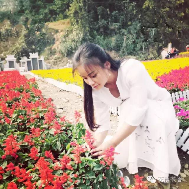 花语茶香 | 一场秋雨一场寒