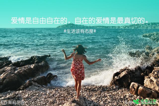 每日花语-爱情是自由自在的，自在的爱情是最真切的
