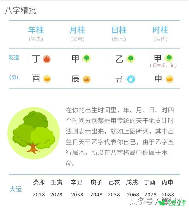 乙木人需贵人相助，没想到传说中的贵人是“他”