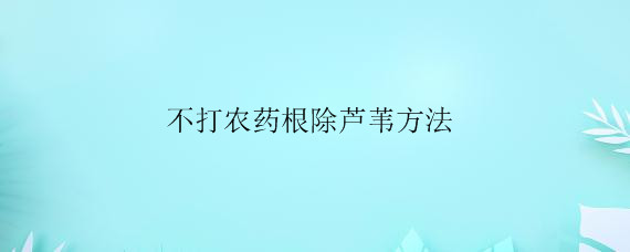不打农药根除芦苇方法