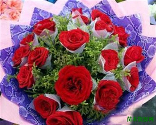 结婚纪念日送什么花 结婚纪念日送几朵花
