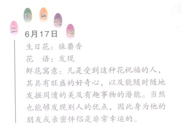 紫丁香的花语是什么