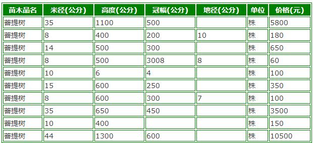 菩提树能活多少年？