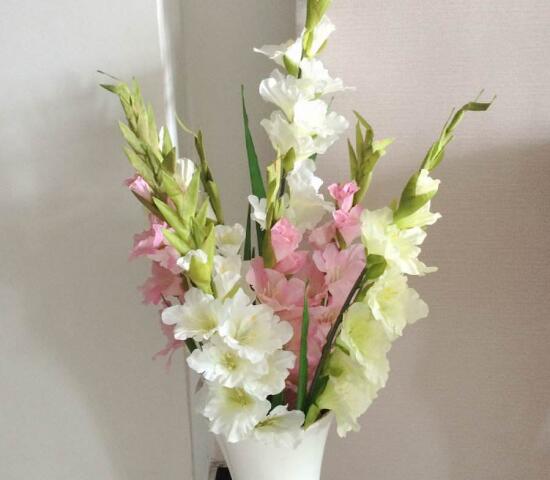 剑兰花语是什么，送剑兰花代表什么意思(送朋友代表怀念)