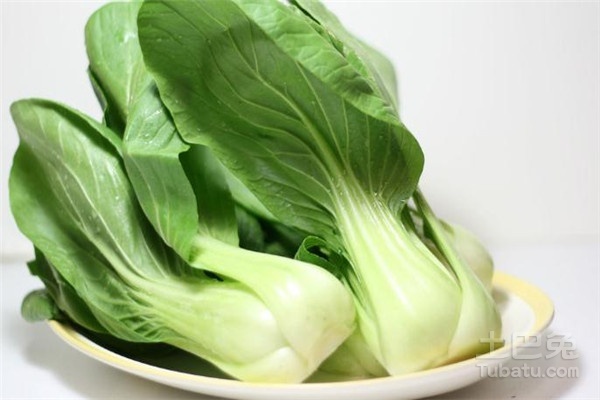 青菜图片和功效