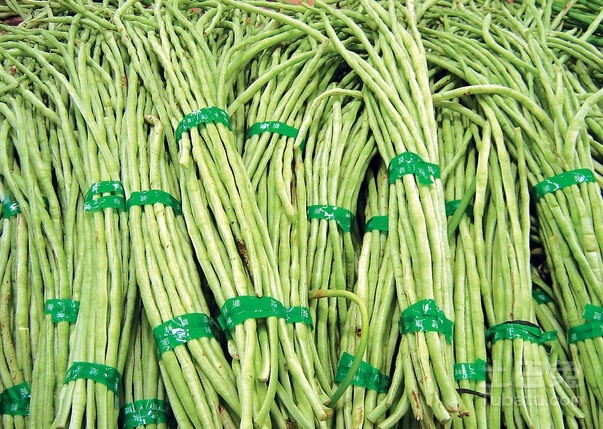 豇豆角图片  豇豆角营养价值以及食用方法简介