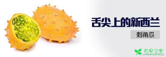 黄瓜、西葫芦的口感，香蕉、黄瓜和柠檬的混合味道是什么果？ 。。。