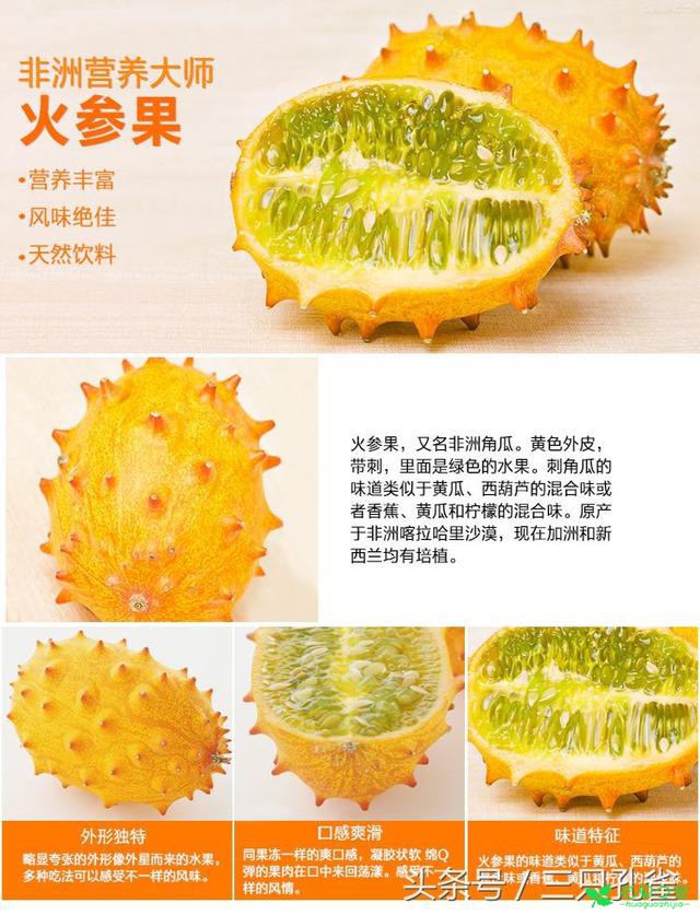 黄瓜、西葫芦的口感，香蕉、黄瓜和柠檬的混合味道是什么果？ 。。。