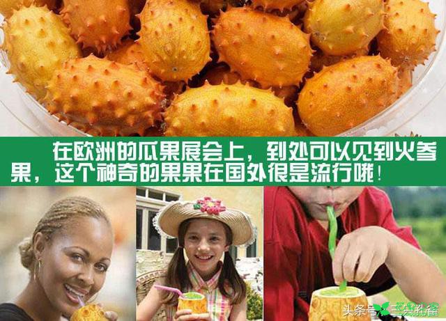 黄瓜、西葫芦的口感，香蕉、黄瓜和柠檬的混合味道是什么果？ 。。。