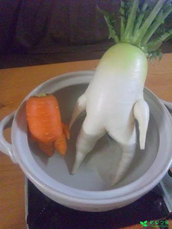 番茄变螃蟹，土豆成田鸡……这些奇葩水果蔬菜，你敢不敢吃！ 。。。