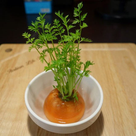 怎么DIY胡萝卜盆栽？
