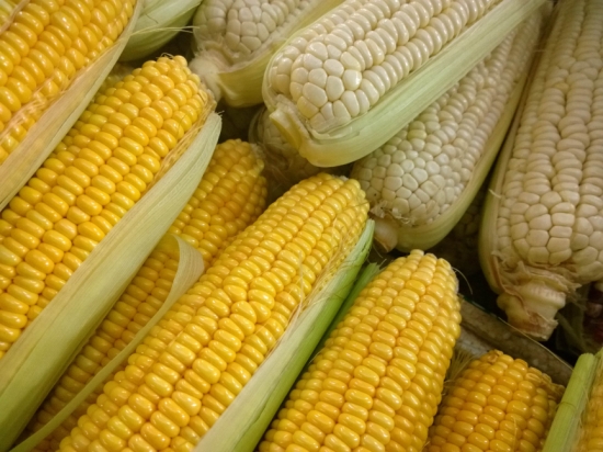 玉米的做法？玉米食用禁忌