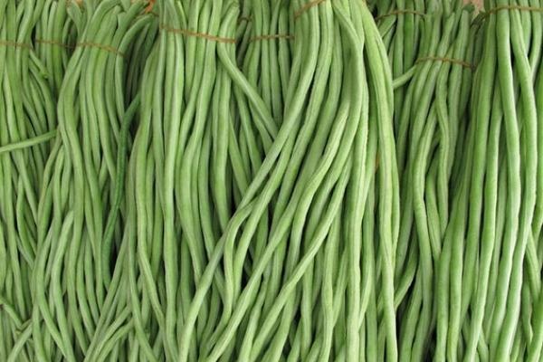 豆角什么时候打控旺药 用哪些肥料效果好