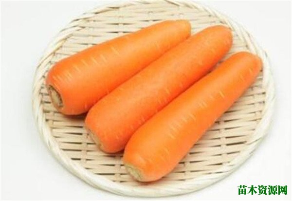 白萝卜和胡萝卜能一起吃吗 胡萝卜的营养价值有哪些