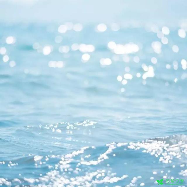 夏季挑香水除了柑橘调，还能选择什么？水系香水TOP10 。。。