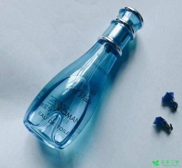 夏季挑香水除了柑橘调，还能选择什么？水系香水TOP10 。。。