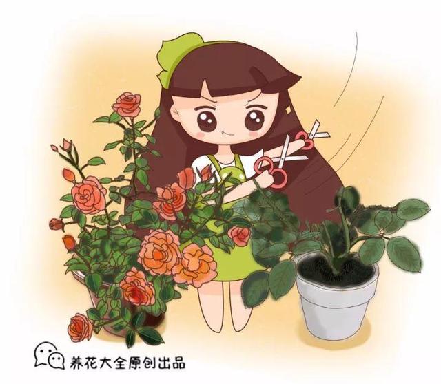 趁着冬天给花剪2刀，冬天再冷都冻不死，明天春天花开满枝