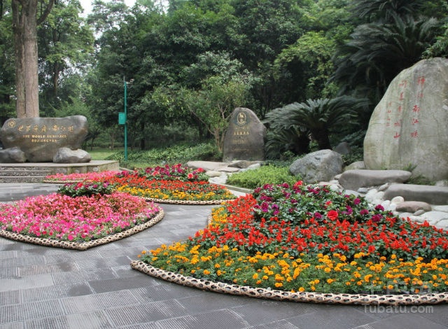 花圃图片及相关介绍