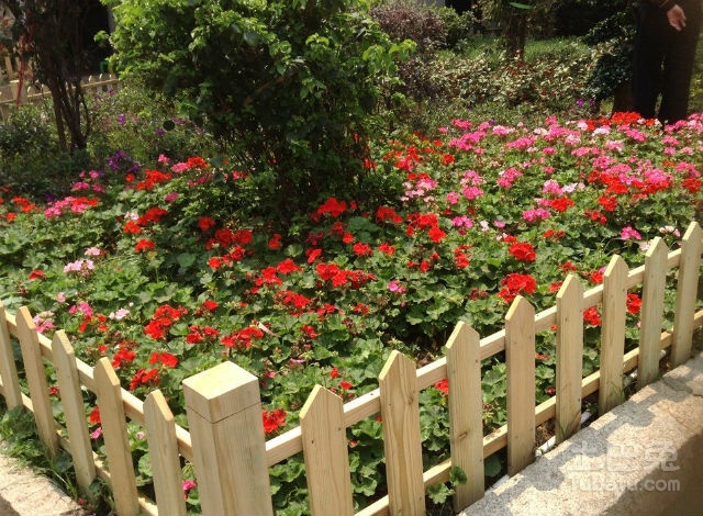 花圃图片及相关介绍