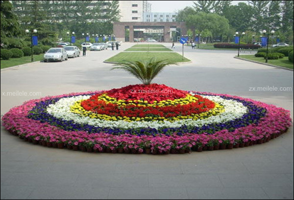 园林花坛设计，花坛设计图片展示
