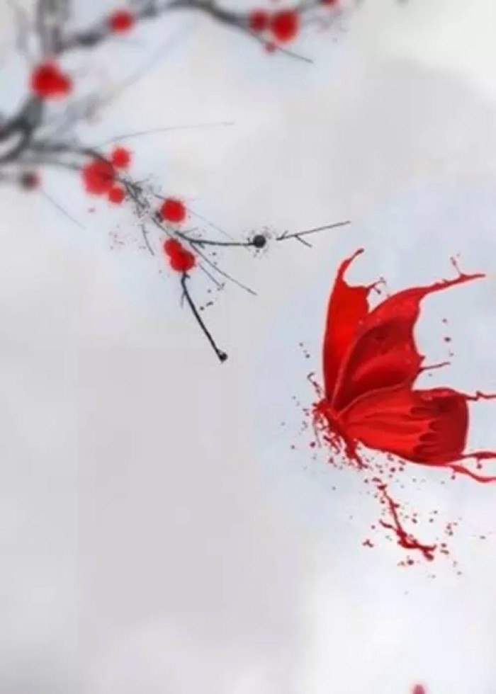 梅花图片大全大图唯美图片欣赏