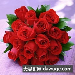 送玫瑰花图片表情图片