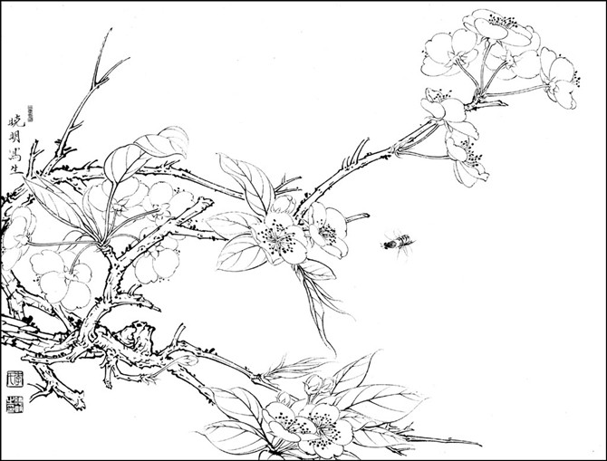 梨花图片简笔画