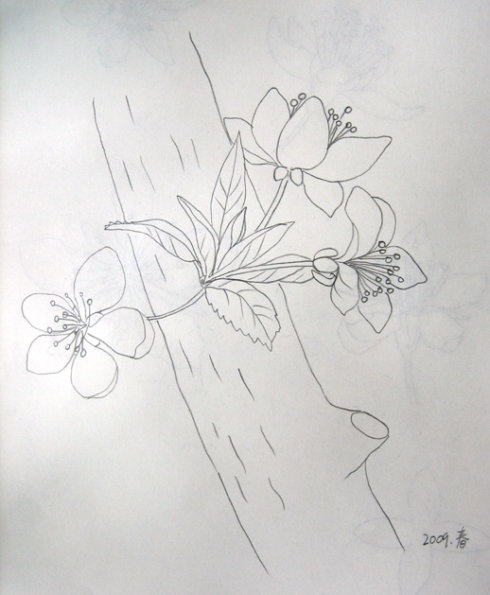 梨花图片简笔画