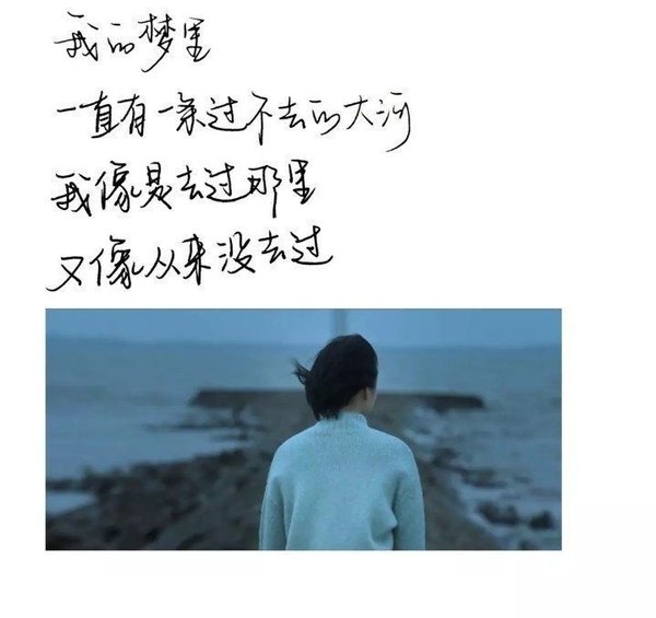 仙人掌不是花不能被捧在手心图片