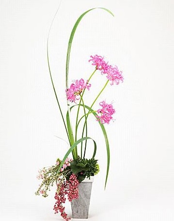 常夏