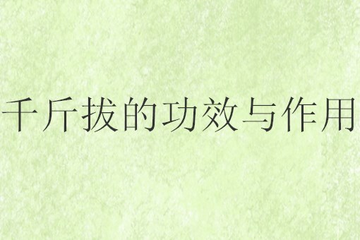 “钻地风”千斤拔的功效与作用有哪些？如何进行药膳搭配？（附用法及用量）