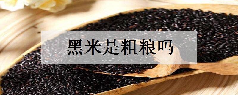黑米是粗粮吗 经常吃有什么好处