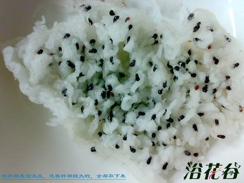 昙花有种子吗