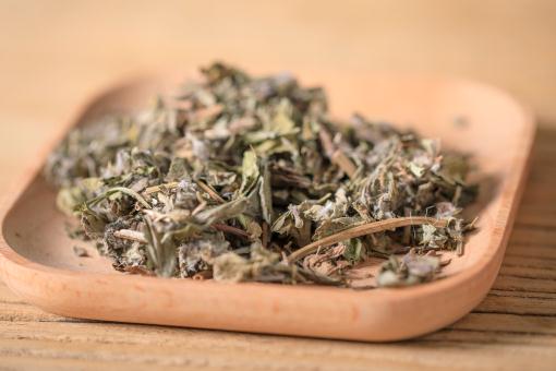 农村野菜刺儿菜（小蓟）的功效与作用有哪些？能治什么病？怎么吃？