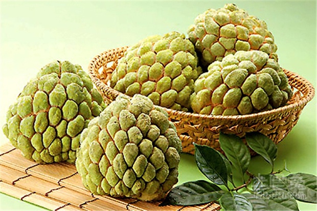番荔枝怎么吃详细介绍
