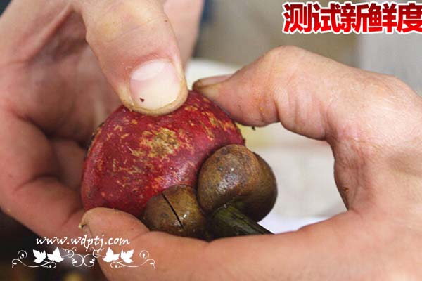 山竹产地_山竹图片及价格大全
