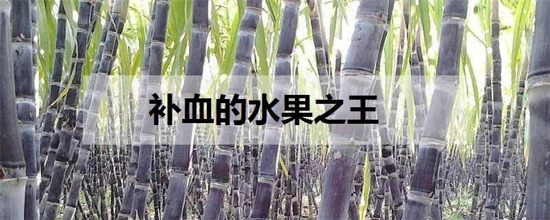 补血的水果之王 什么水果补血