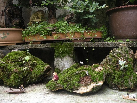 山水盆景辅苔点翠技艺