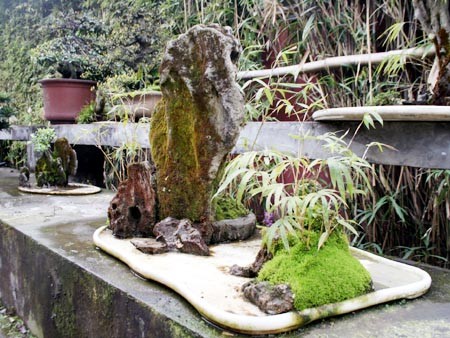 山水盆景辅苔点翠技艺