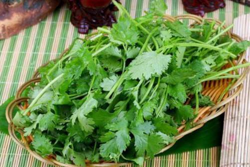 芫菜的功效与作用，爱吃芫菜的人要注意这三个禁忌，犯的人可不少
