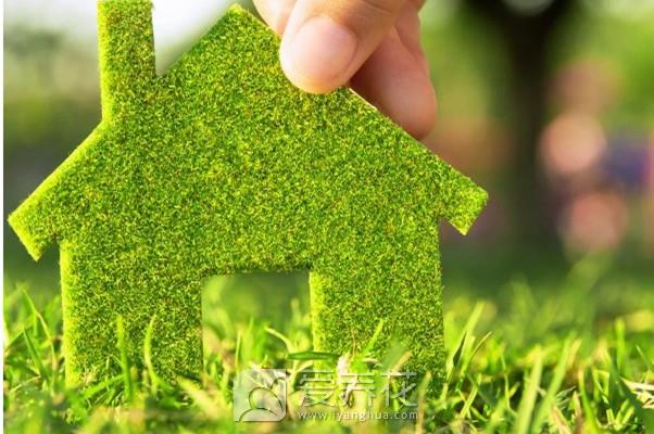 新房装修完以后，放上这几种植物，安全还环保