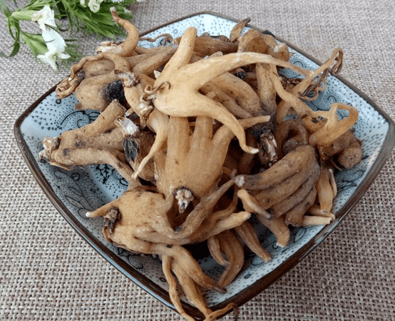 手参的吃法