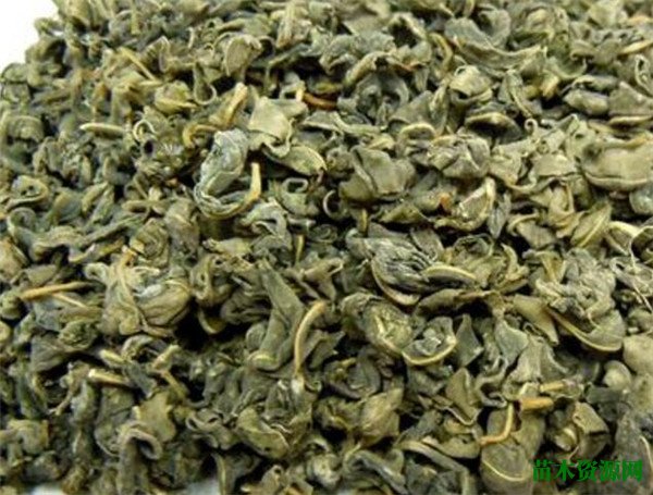 罗布麻茶价格多少钱一斤 罗布麻茶的功效与副作用