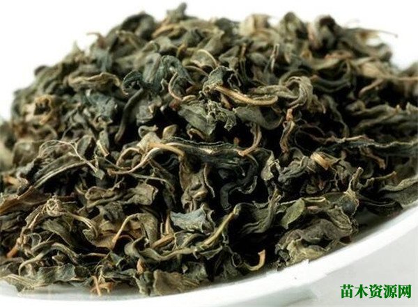 罗布麻茶价格多少钱一斤 罗布麻茶的功效与副作用