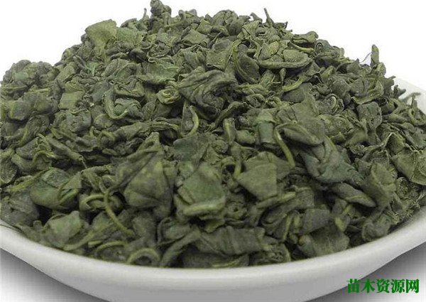 罗布麻茶价格多少钱一斤 罗布麻茶的功效与副作用