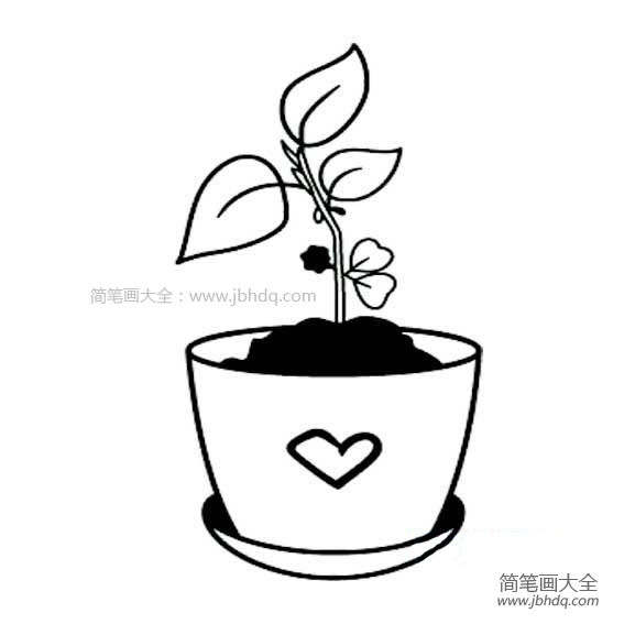盆栽的简笔画图片大全